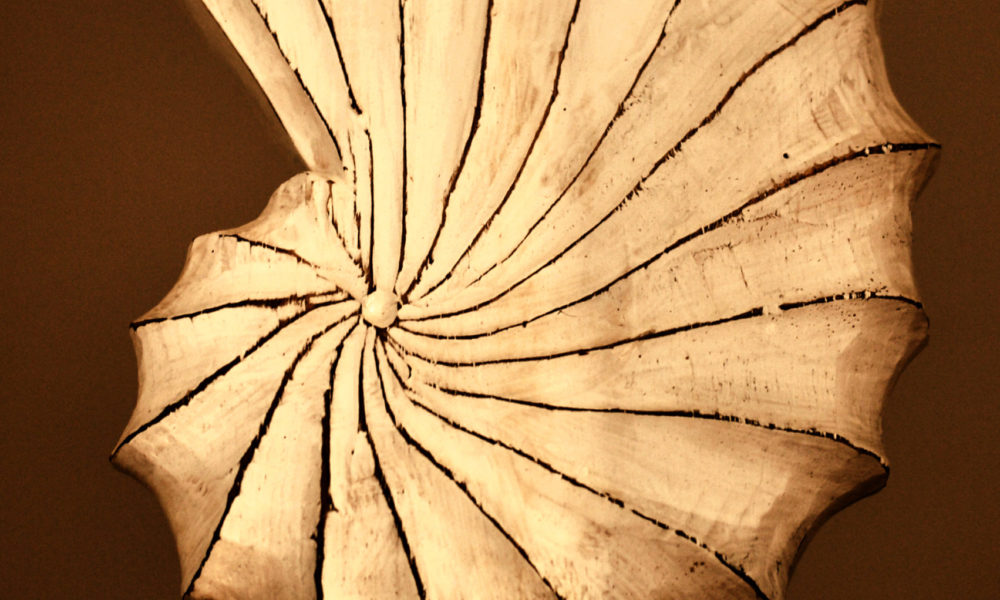 DSC_9318 (1) DSC_9318 (1)